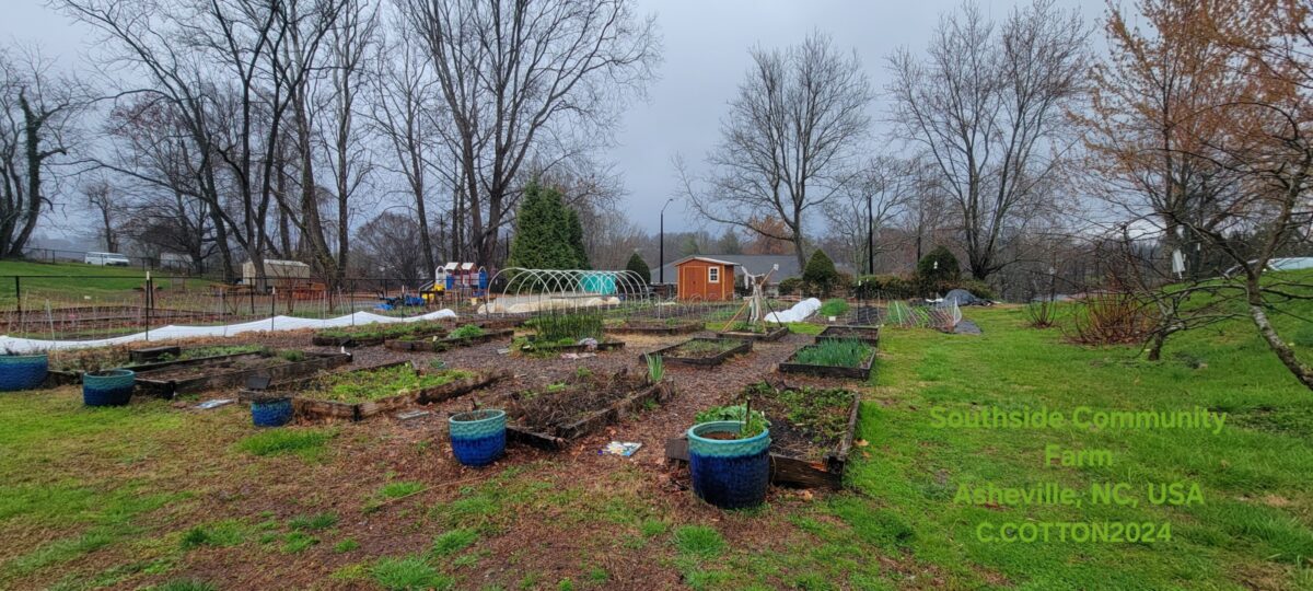 Southside Community Farm