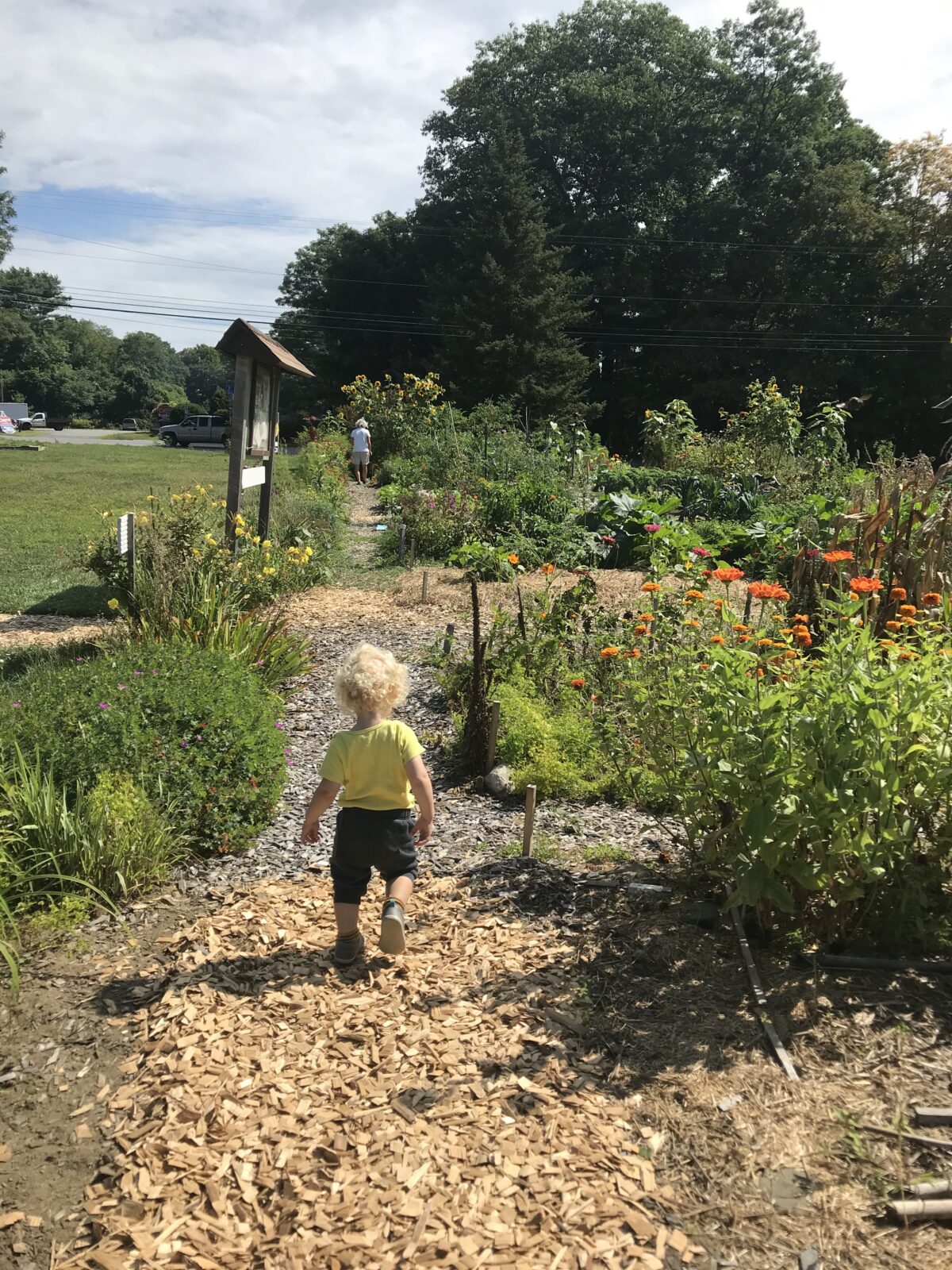 Green Commons of Vermont